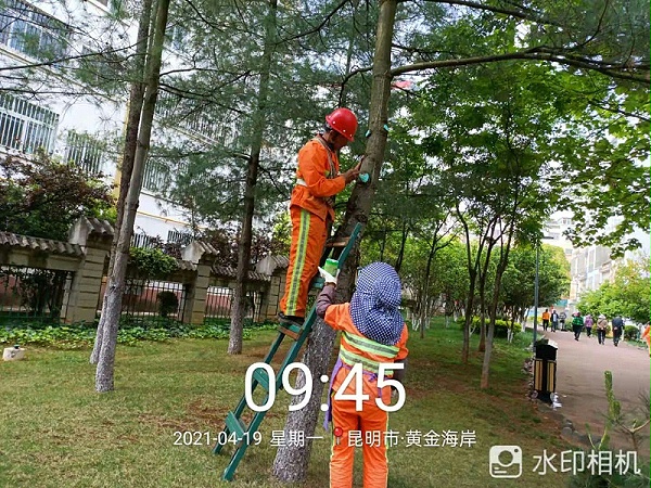 市政管养一体化-华体平台环保2