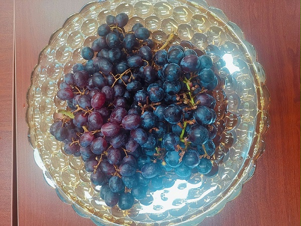 华体平台环保端午节茶话会5