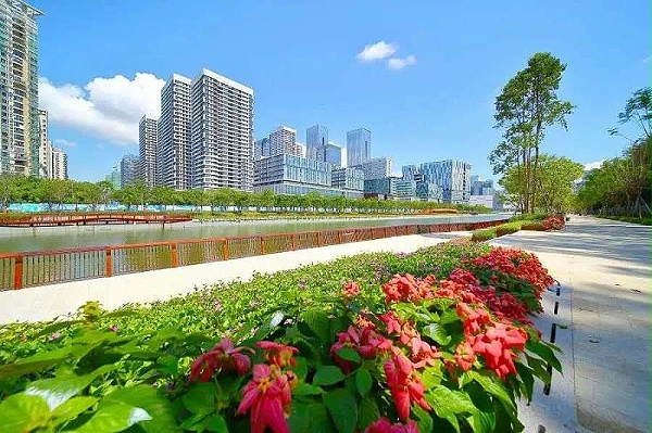 深圳美丽的城市街道-华体平台环保