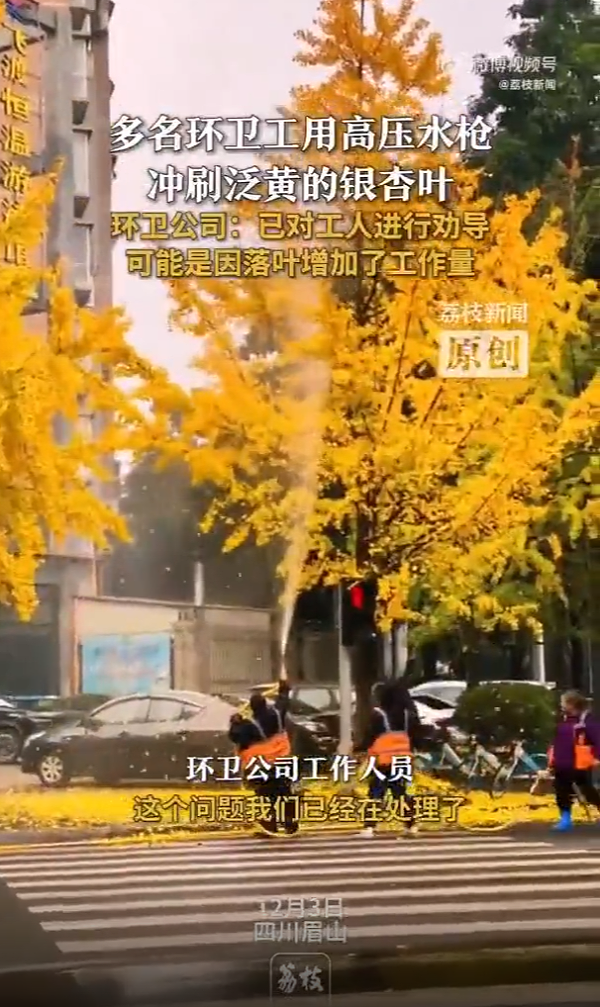 华体平台环保：环卫工用高压水枪冲刷银杏叶