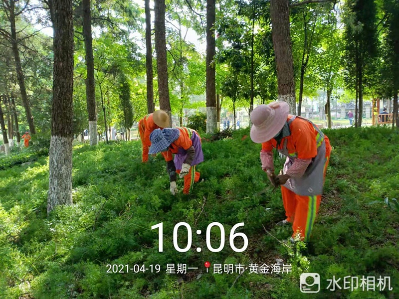市政管养一体化-华体平台环保