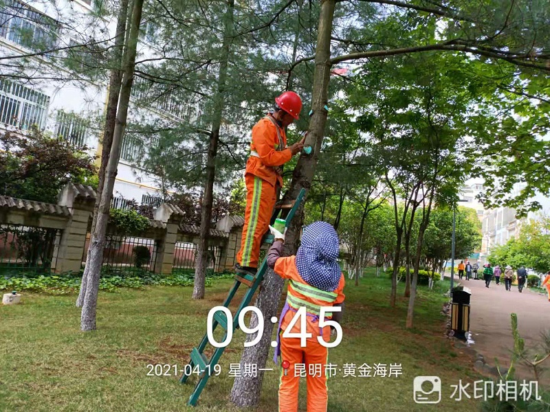 市政管养一体化-华体平台环保2