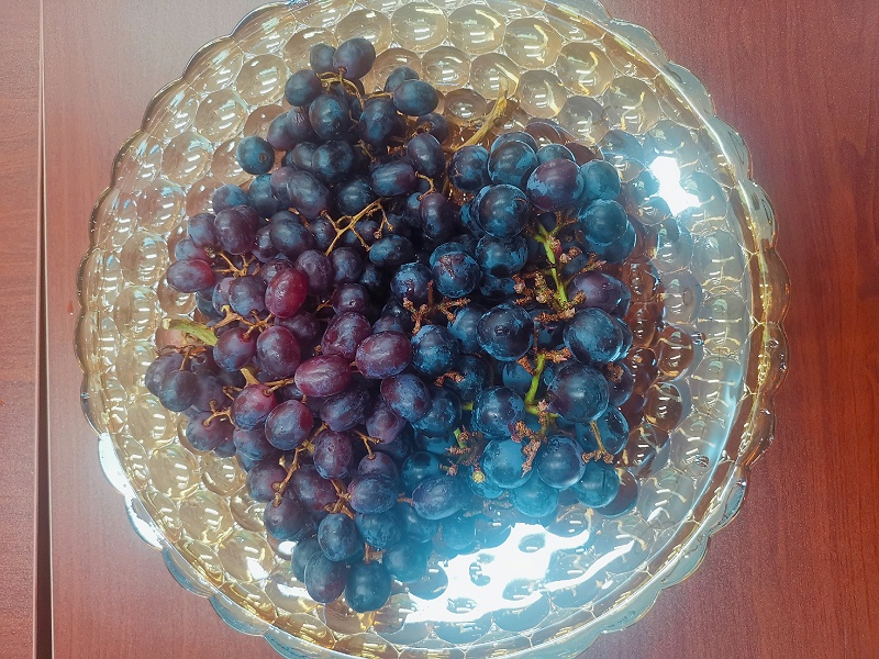 华体平台环保端午节茶话会5