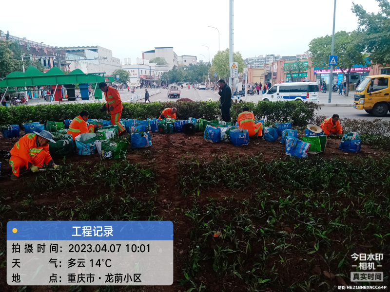 华体平台环保：绿化补栽