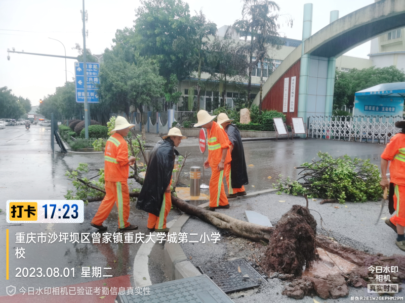 华体平台环保：绿化排危