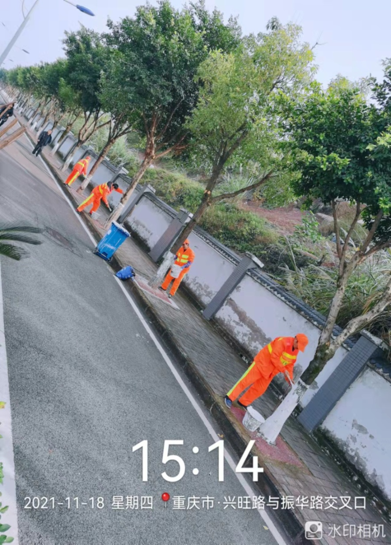 华体平台环保：刷白护树