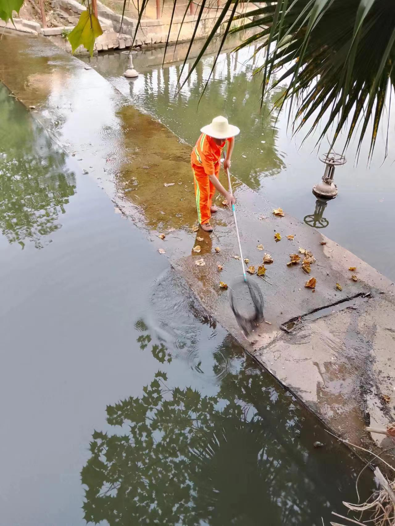 华体平台环保：河面清漂